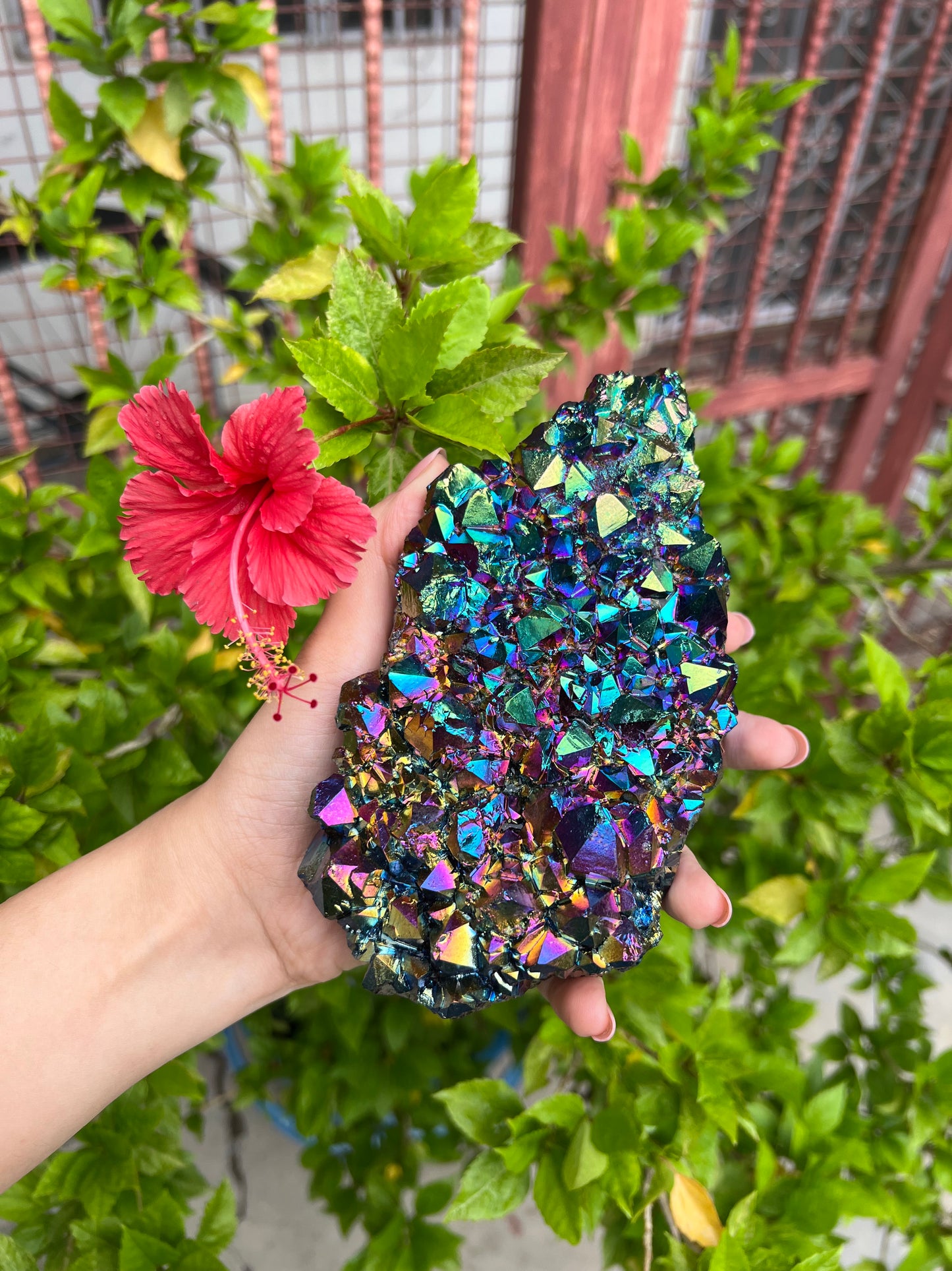 Titanium Blue Angel Aura Quartz Raw Crystal Cluster